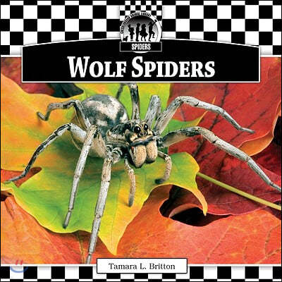 Wolf Spiders