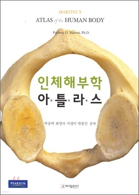 인체 해부학 아틀라스