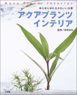 アクアプランツインテリア