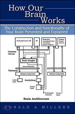 How Our Brain Works: The Construction and Functionality of Your Brain Presented and Explained