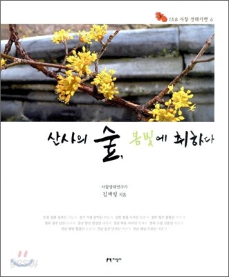 산사의 숲, 봄빛에 취하다