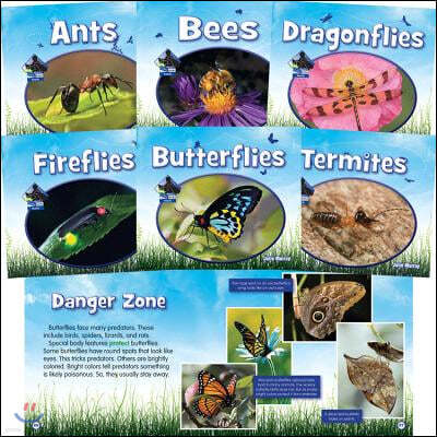 Insects (Big Buddy Books) (Set)