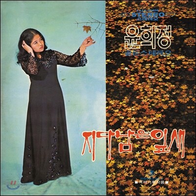 윤희정 2집 - 지다 남은 잎새, 바람아 [500매 한정반]
