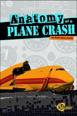 Anatomy of a Plane Crash