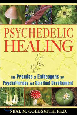 Psychedelic Healing: The Promise of Entheogens for Psychotherapy and Spiritual Development