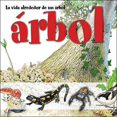 La Vida Alrededor de Un Arbol