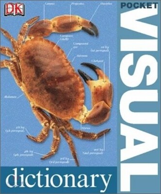 Pocket Visual Dictionary