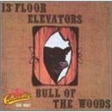13Th Floor Elevators — Bull Of The Woods 앨범 커버