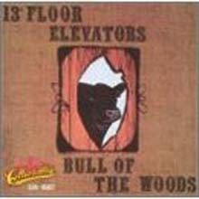 13Th Floor Elevators - Bull Of The Woods