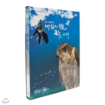 EBS 다큐 프라임 - 바람의 혼 참매