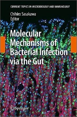 Molecular Mechanisms of Bacterial Infection Via the Gut