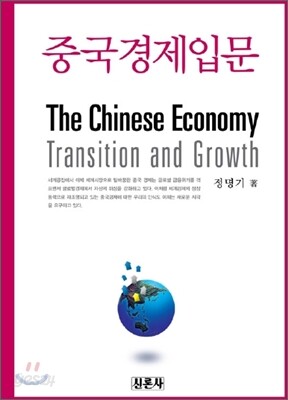 중국 경제 입문