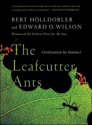 The Leafcutter Ants: Civilization by Instinct