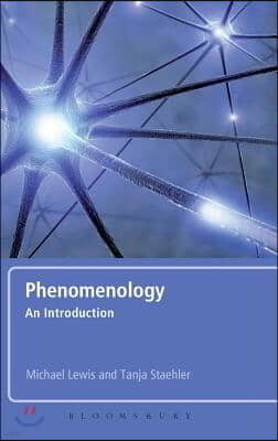 Phenomenology: An Introduction