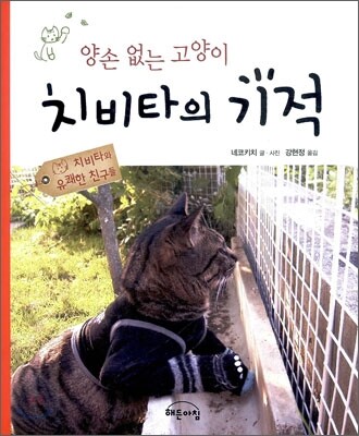 양손 없는 고양이 치비타의 기적