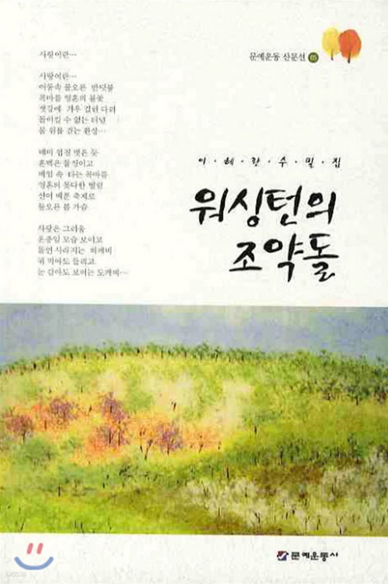 워싱턴의 조약돌