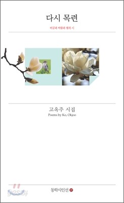 다시 목련