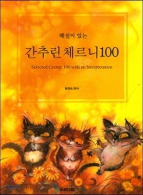 해설이 있는 간추린 체르니 100