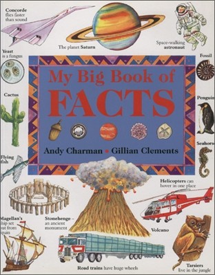 My Big Book of Facts