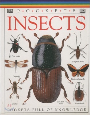 Pockets : Insects