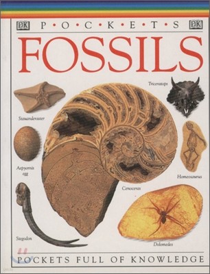 Pockets : Fossils