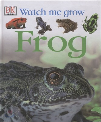 Watch Me Grow : Frog