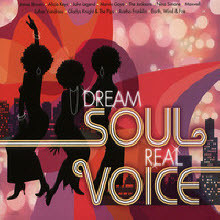 V.A. - DREAM SOUL REAL VOICE (2CD/̰)