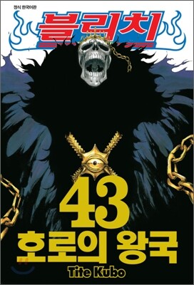 블리치 BLEACH 43