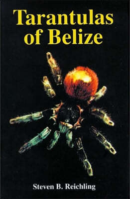 Tarantulas of Belize