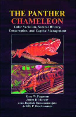 The Panther Chameleon