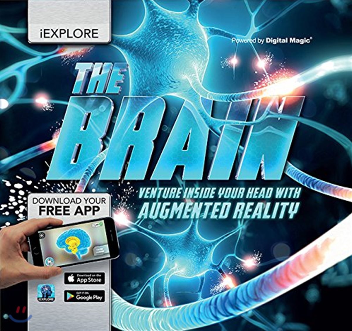 iExplore - The Brain