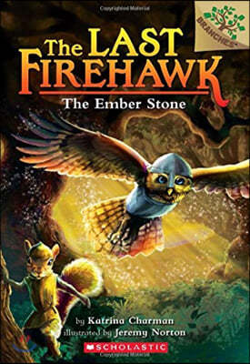 The Ember Stone: A Branches Book (the Last Firehawk #1): Volume 1