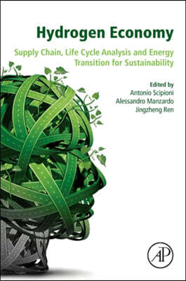 Hydrogen Economy: Supply Chain, Life Cycle Analysis and Energy Transition for Sustainability