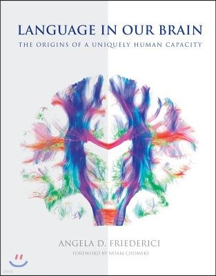 Language in Our Brain