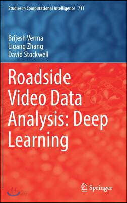 Roadside Video Data Analysis: Deep Learning
