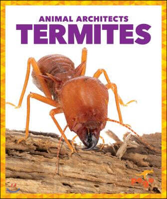 Pogo Termites