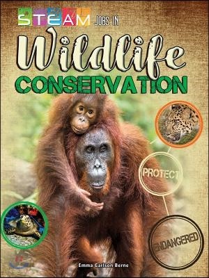 Steam Jobs in Wildlife Conservation