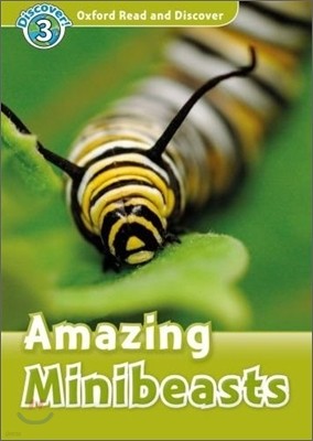 Read and Discover 3: Amazing Minibeasts