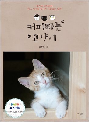 커피타는 고양이