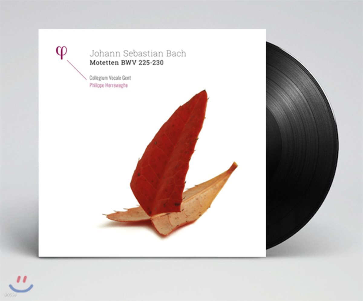 Philippe Herreweghe 바흐: 모테트 BWV 225-230 - 필립 헤레베헤 [2LP]