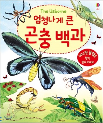 엄청나게 큰 곤충 백과