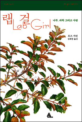 랩 걸
