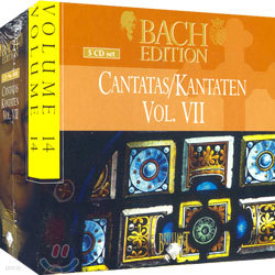 Bach : Cantata Vol.VII