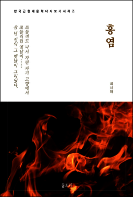 한국문학 필독서 최서해 홍염