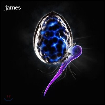 James - The Night Before