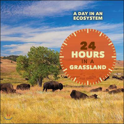 24 Hours in a Grassland