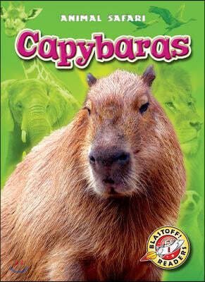 Capybaras