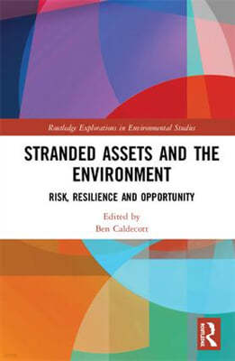 Stranded Assets and the Environment