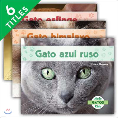 Gatos (Cats Set 2) (Set)
