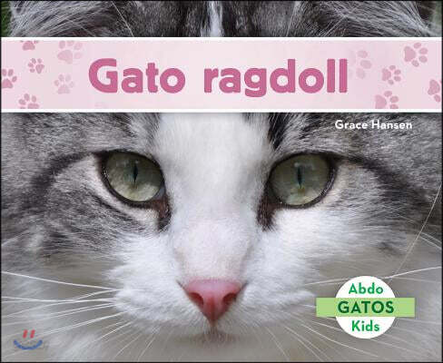 Gato Ragdoll (Ragdoll Cats)